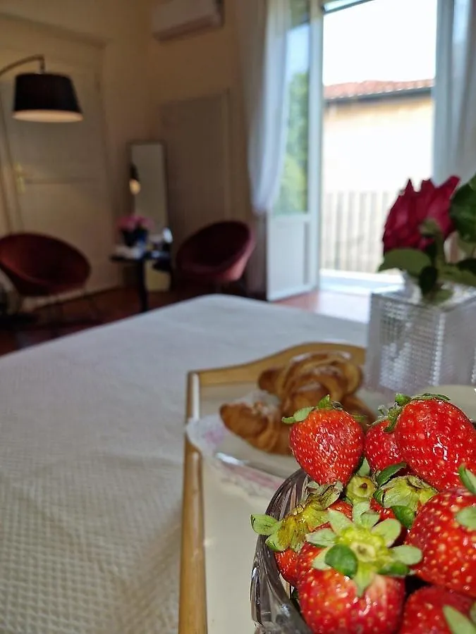 Palazzo Rosselmini Hotel Pisa 0*,